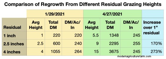 Here’s What Short Grazing Does to Spring Regrowth