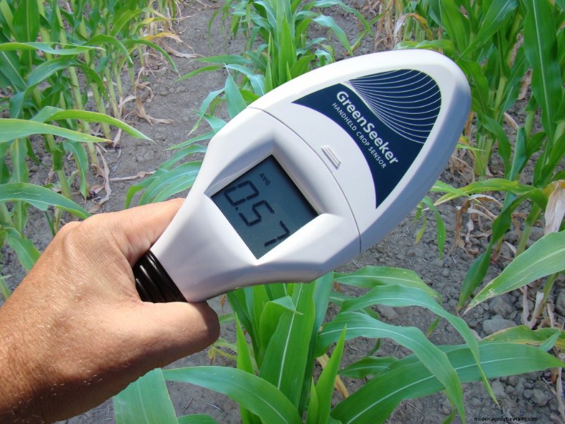 How to Use Reference Strips for Better Nitrogen Management