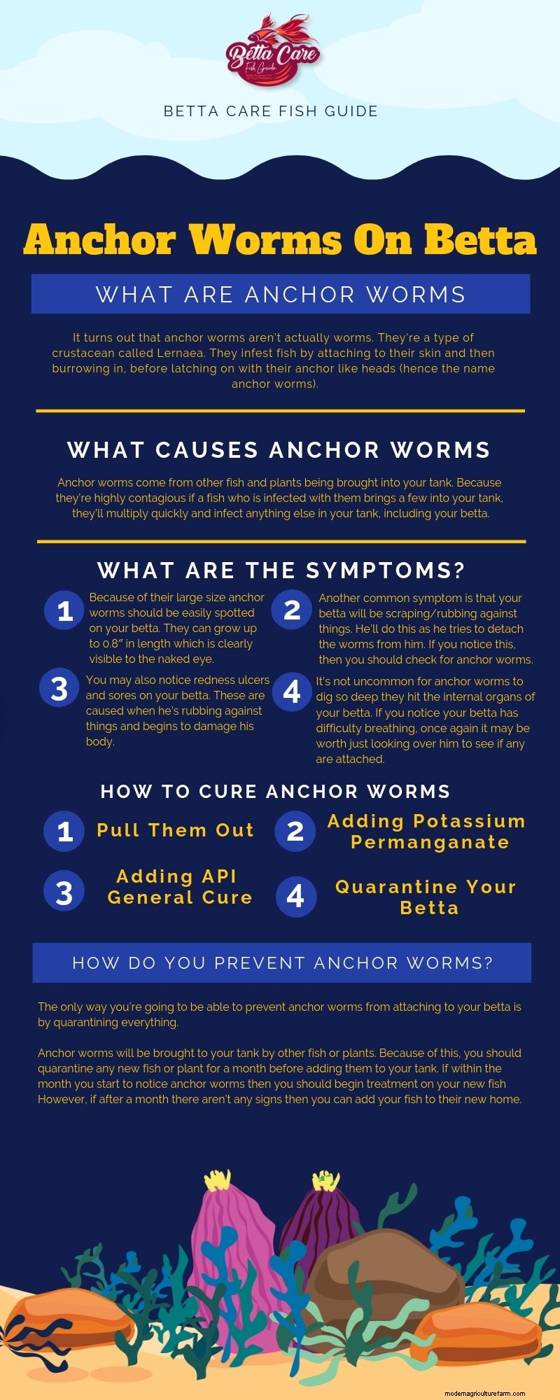 Anchor Worms On Betta (Causes, Symptoms & Treatment)