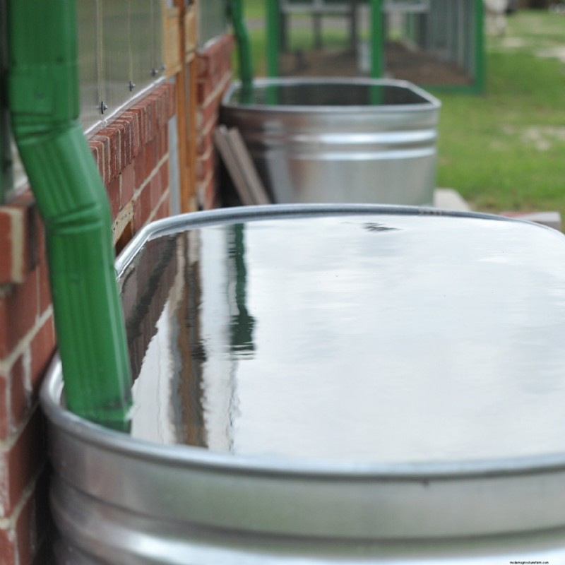 An Introduction to Climate Farming With Kids