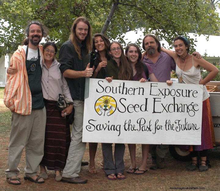 Introducing…the SESE blog!