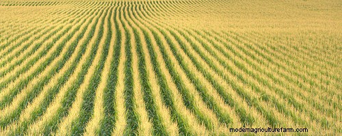 USDA taking comments on agricultural coexistance