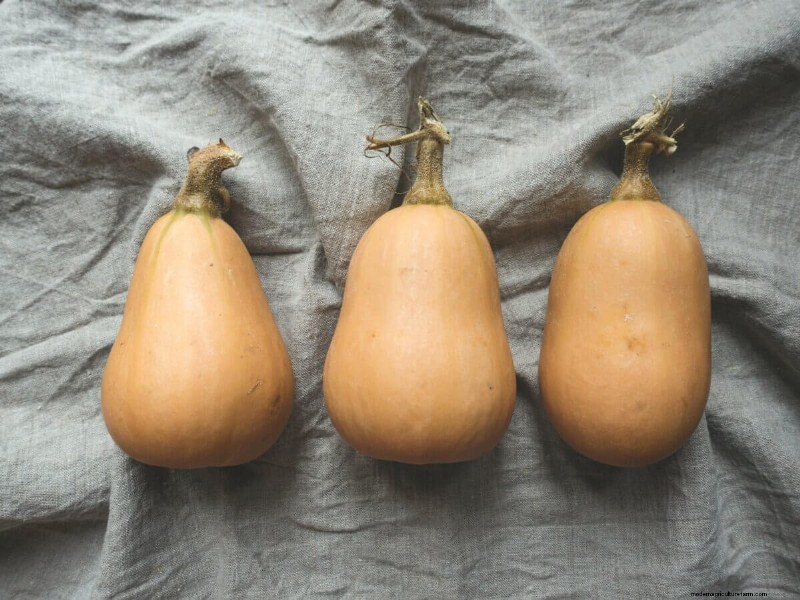 Winter Squash Harvest And Storage Tips
