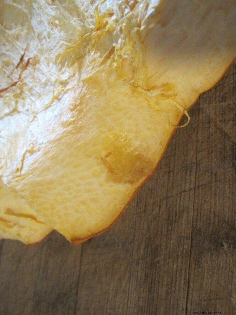 How to Find & Store Cheap Leftover Pumpkins After Halloween