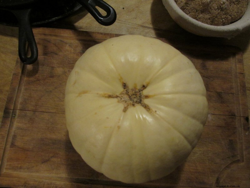 How to Find & Store Cheap Leftover Pumpkins After Halloween