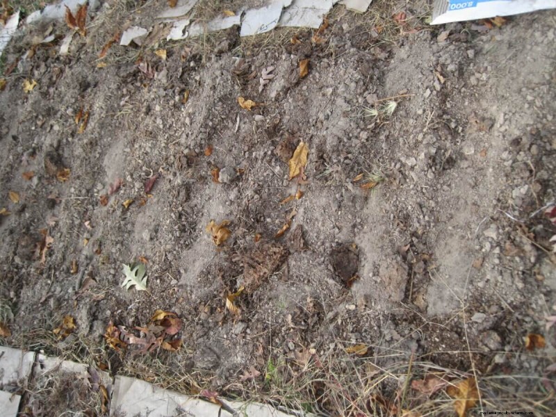 Shutting Down the Garden for Winter Checklist