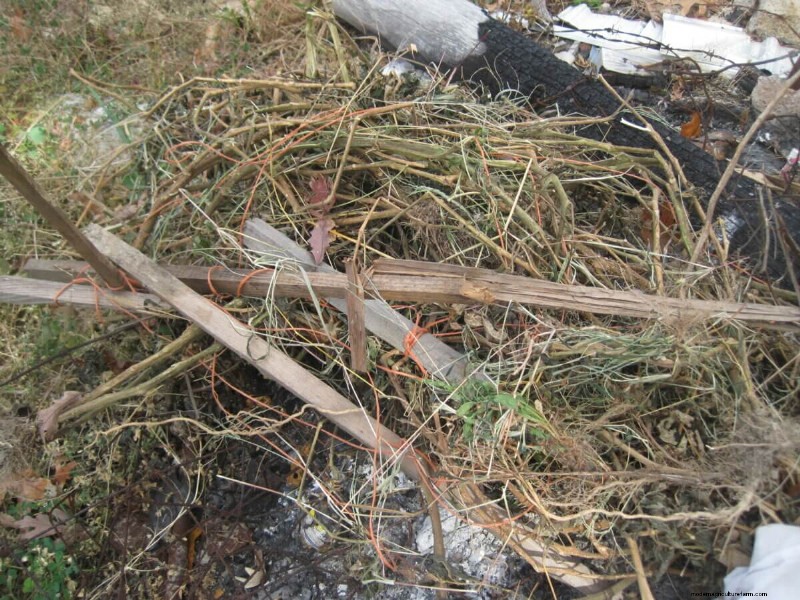 Shutting Down the Garden for Winter Checklist