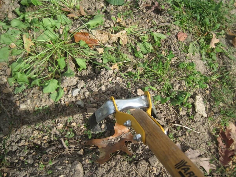 Shutting Down the Garden for Winter Checklist