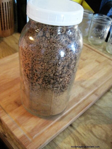 Eating Acorns: From Foraging To Cooking & Recipes