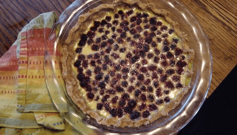 Foraging for Brambleberries