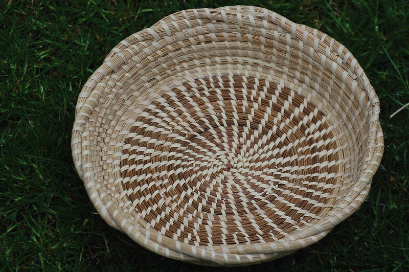 The Many Uses of Sweetgrass