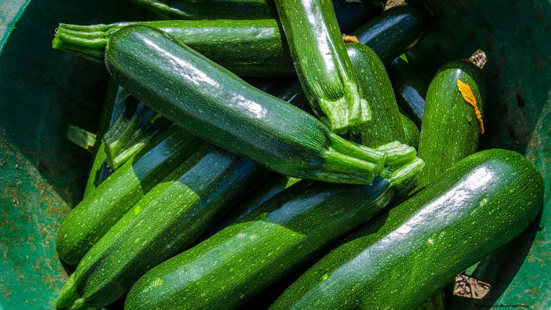 Companion Planting For Summer Squash