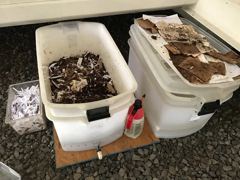 Introduction to Worm Farming