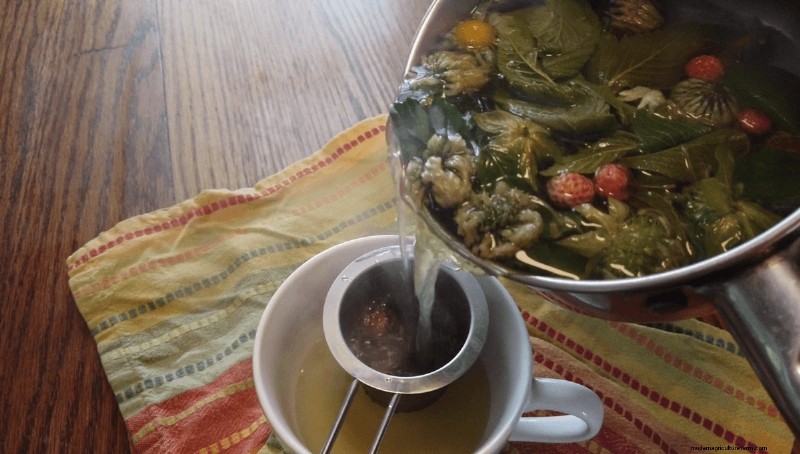 Foraging for Edible Flowers