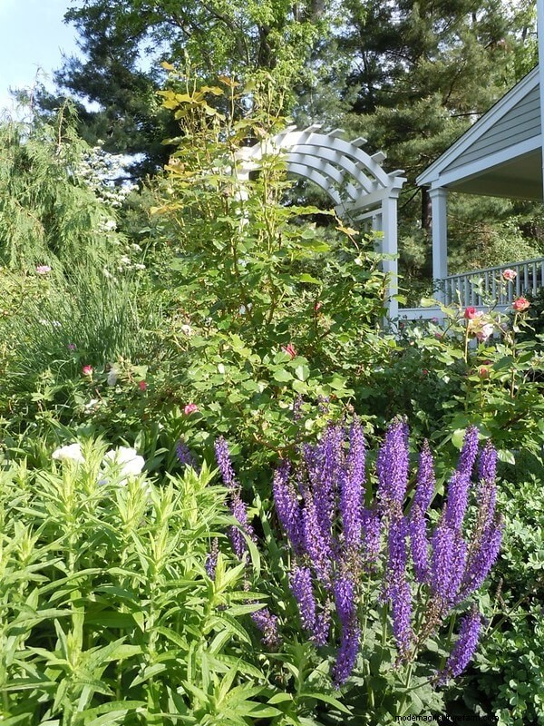 Homestead Stories: Cottage Gardens