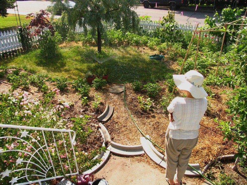 How to Incorporate a Wildlife Habitat on Your Homestead