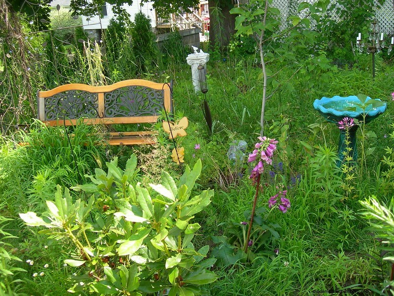 How to Incorporate a Wildlife Habitat on Your Homestead