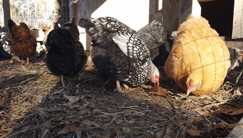 6 Different Ways To Use Thinnings and Scraps