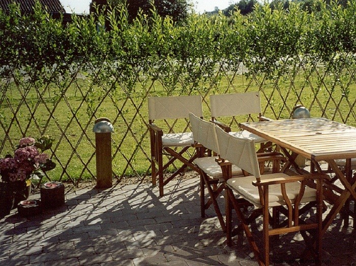 Living Willow Hedges