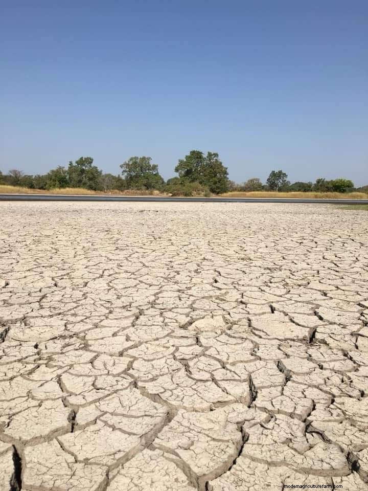 How to Amend Arid & Nutrient-Depleted Soil