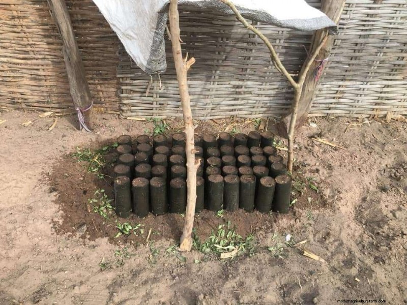 How to Amend Arid & Nutrient-Depleted Soil