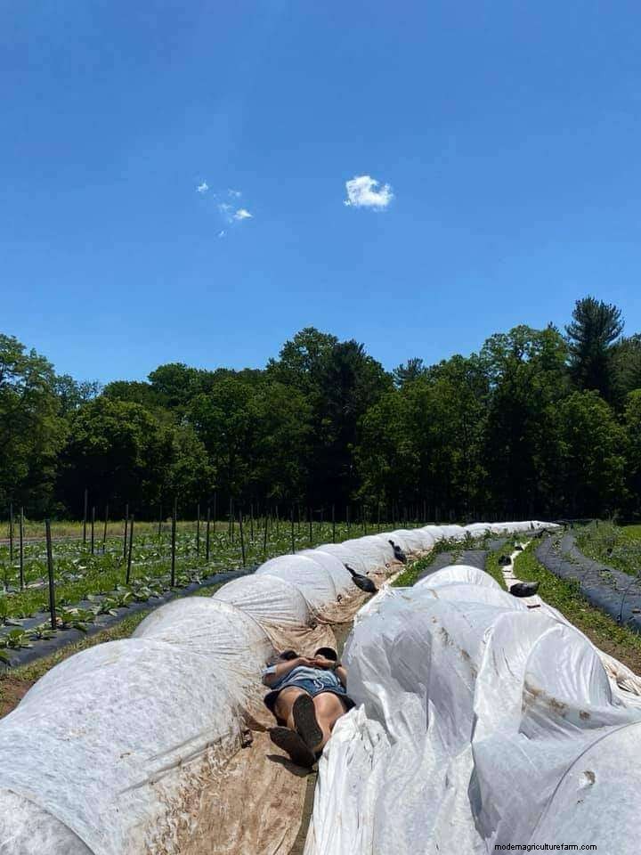 How to Amend Arid & Nutrient-Depleted Soil