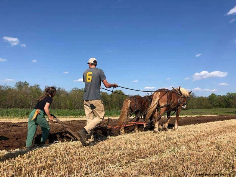How to Amend Arid & Nutrient-Depleted Soil