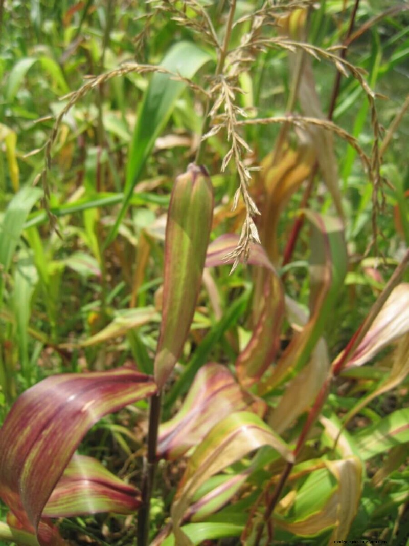 How To Make the Most of Garden Failure