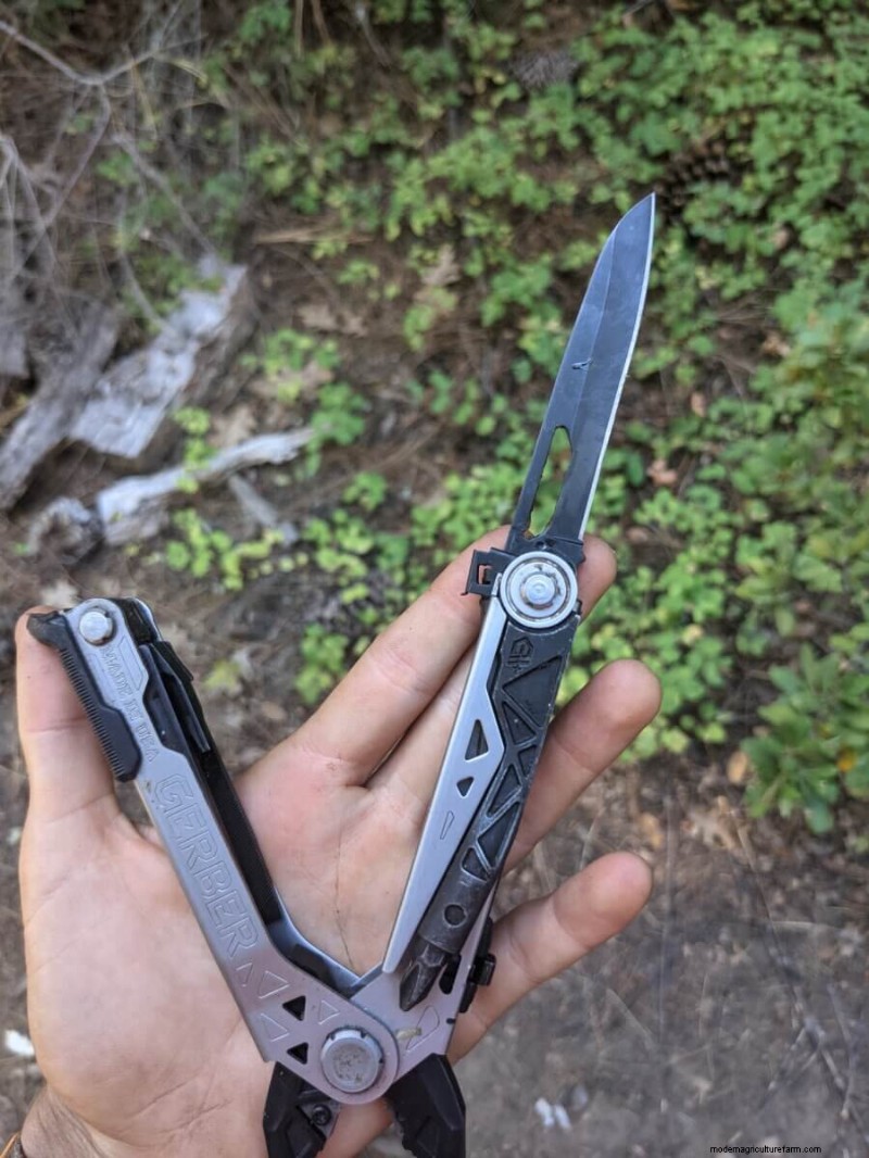 What Is Fruit Tree Grafting?