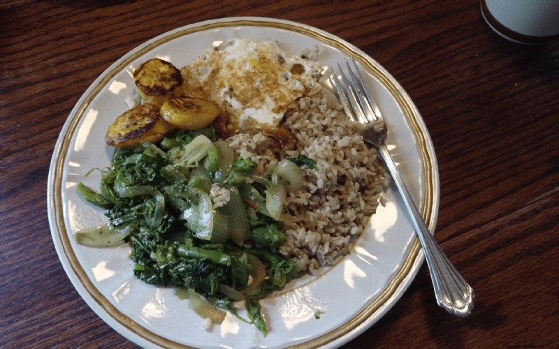 Foraging for Pokeweed