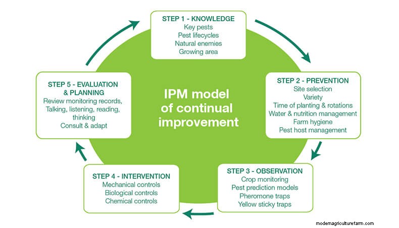 Introduction To Integrated Pest Management