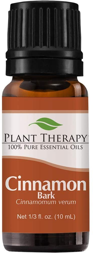 17 Natural Mosquito Repellent Options For The Home And Garden