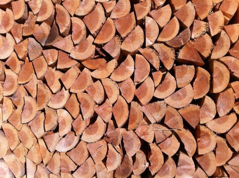 17 Natural Mosquito Repellent Options For The Home And Garden