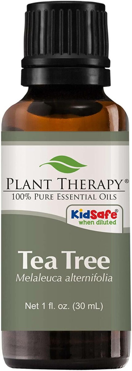 17 Natural Mosquito Repellent Options For The Home And Garden