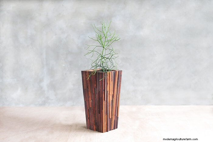 40 Large Planters For Trees And Flowers