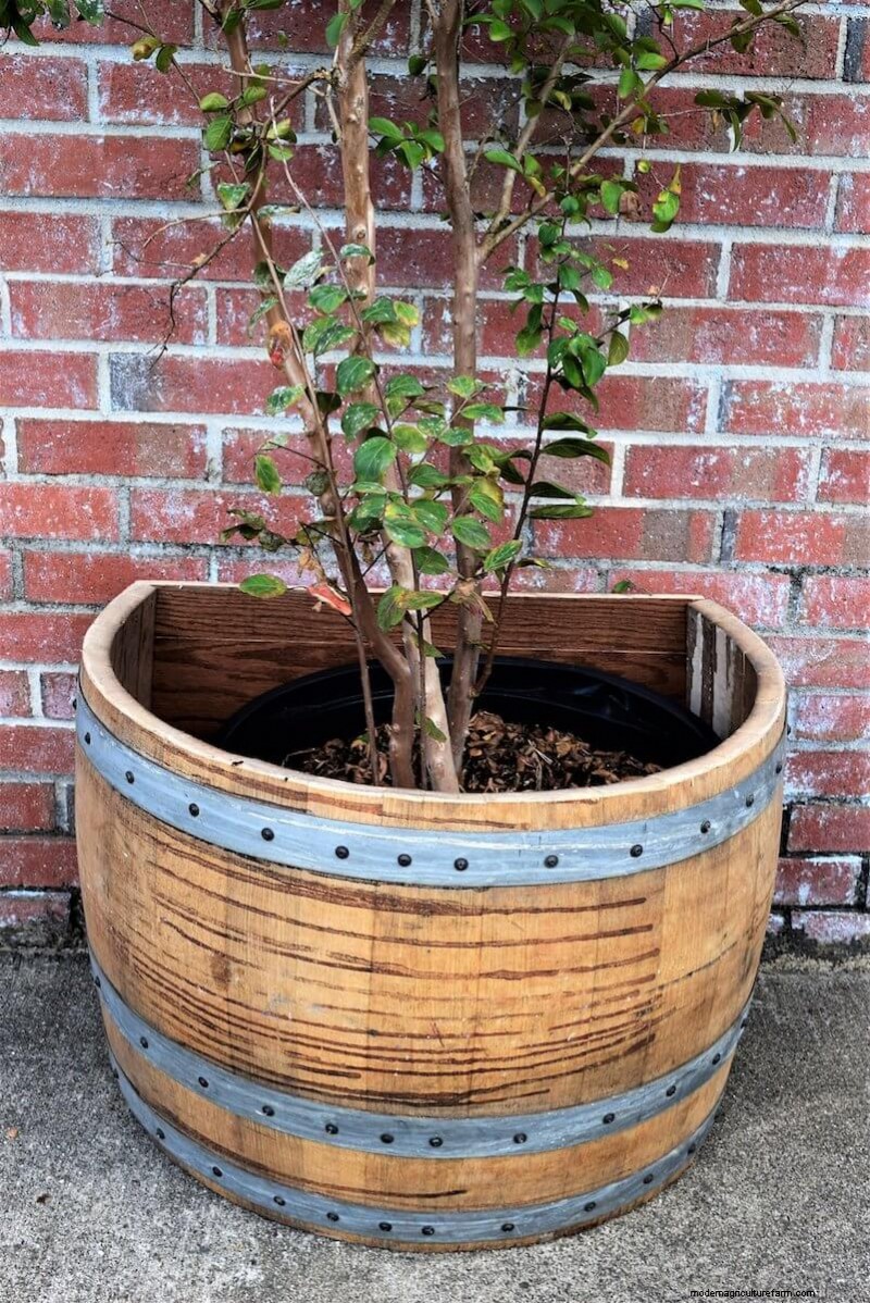 40 Large Planters For Trees And Flowers
