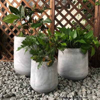 40 Large Planters For Trees And Flowers