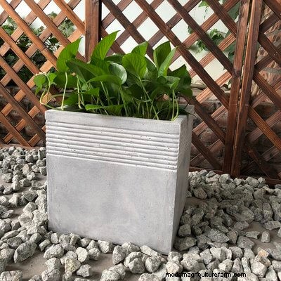 40 Large Planters For Trees And Flowers