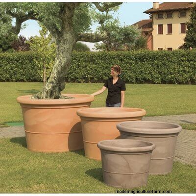40 Large Planters For Trees And Flowers