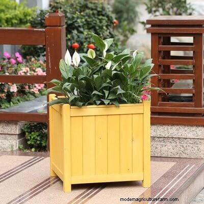 40 Large Planters For Trees And Flowers