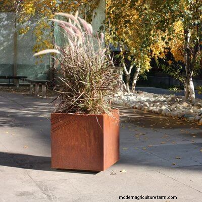 40 Large Planters For Trees And Flowers