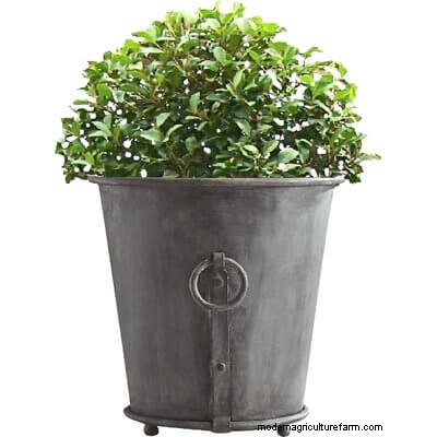 40 Large Planters For Trees And Flowers