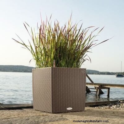 40 Large Planters For Trees And Flowers