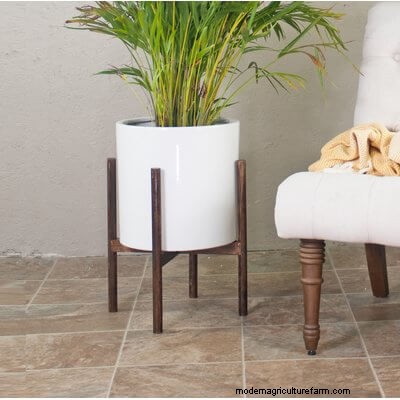 40 Large Planters For Trees And Flowers