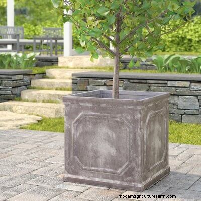 40 Large Planters For Trees And Flowers