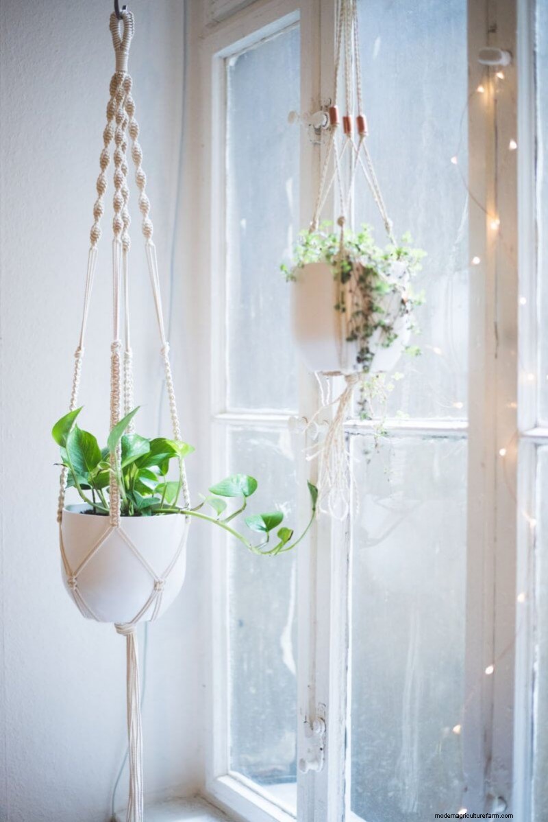 20+ DIY Indoor Hanging Planters to Refresh Your Home