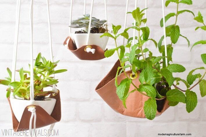 20+ DIY Indoor Hanging Planters to Refresh Your Home