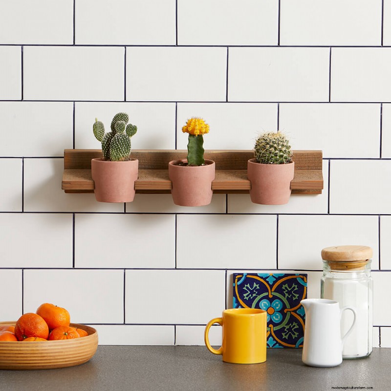 20+ DIY Indoor Hanging Planters to Refresh Your Home