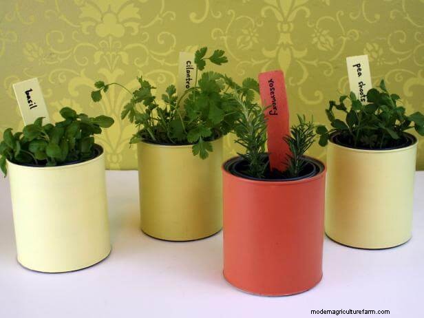 20+ DIY Indoor Hanging Planters to Refresh Your Home