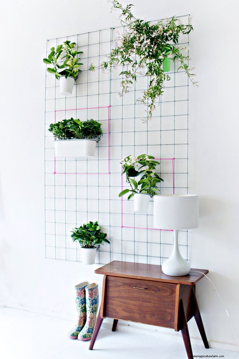 20+ DIY Indoor Hanging Planters to Refresh Your Home